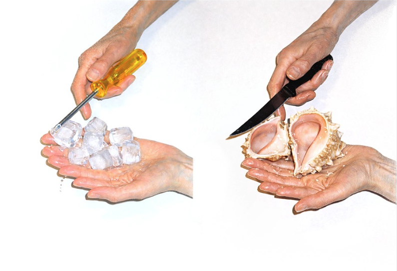 Two hands on the left hold ice cubes while another hand uses a yellow-handled screwdriver; on the right, hands hold a seashell while a knife is pointed at it. Both scenes are set against a white background.
